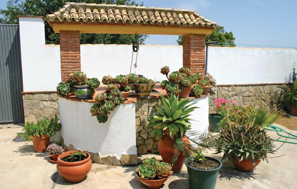 Dehesa Las Yeguas Benalup-Casas Viejas Εξωτερικό φωτογραφία